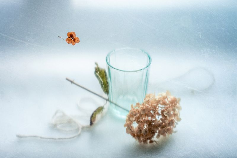 В оттенках серебра фото превью