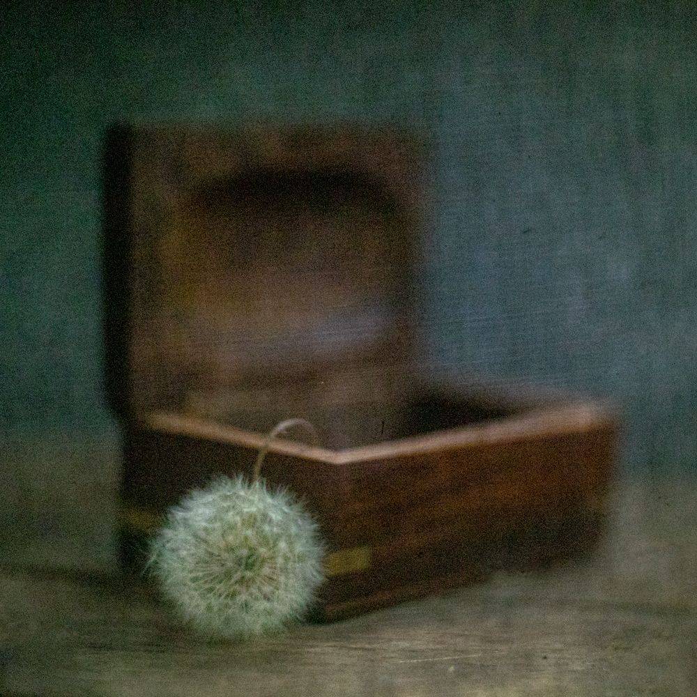 #haruhisa, Татьяна Аверина