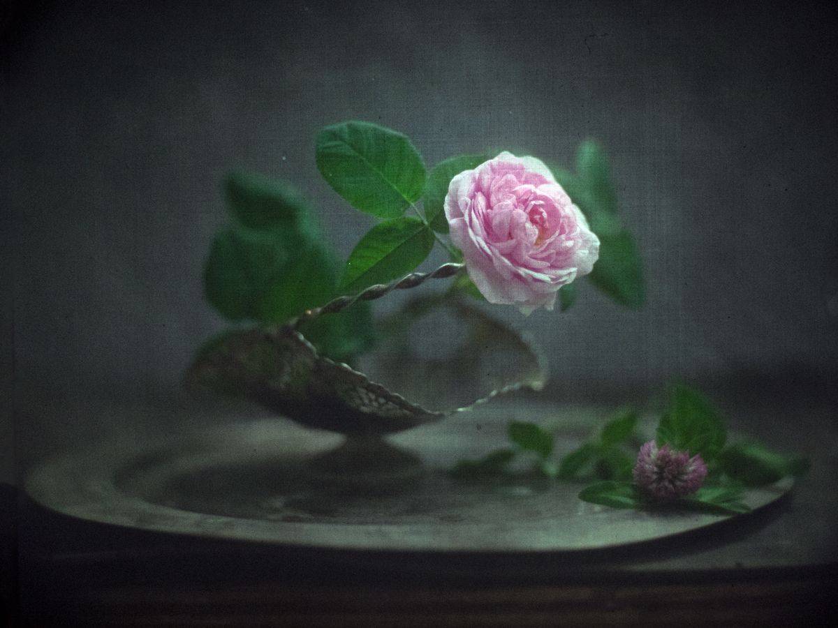 #haruhisa, Татьяна Аверина