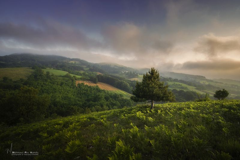 Sunrise фото превью