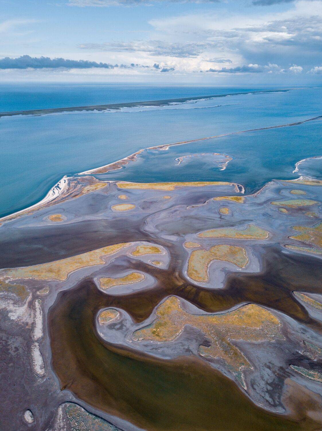 , Андрей Кривцов