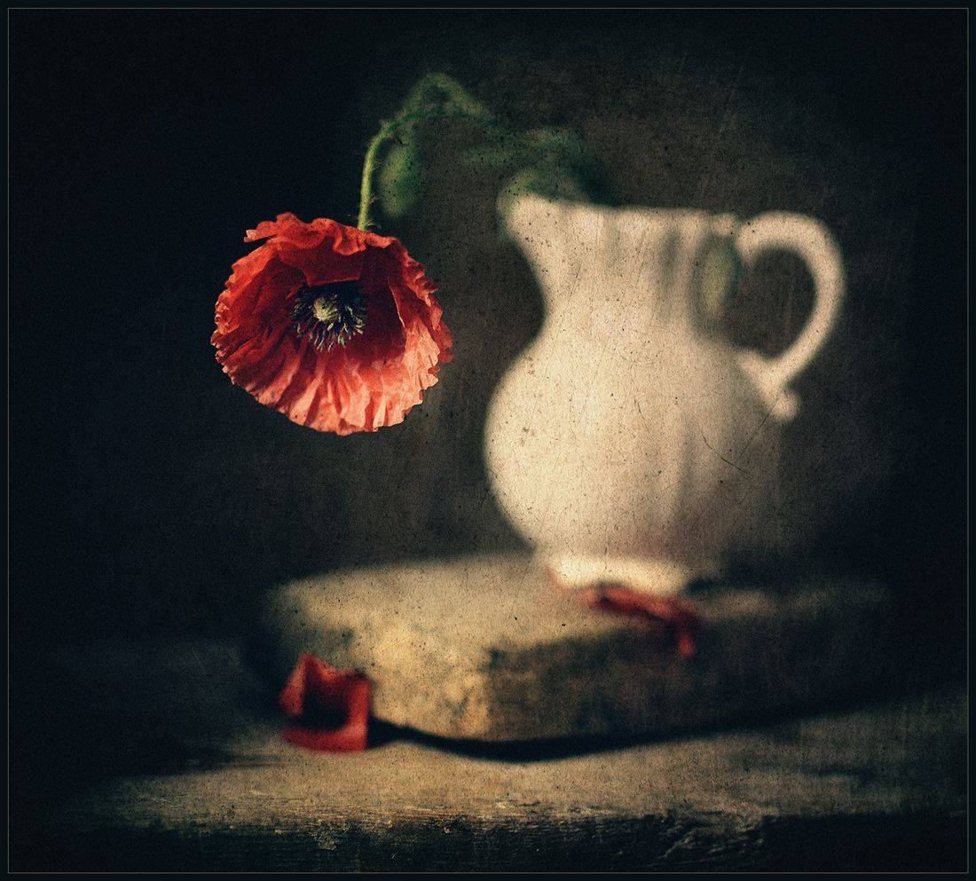 , Александр Хромеев