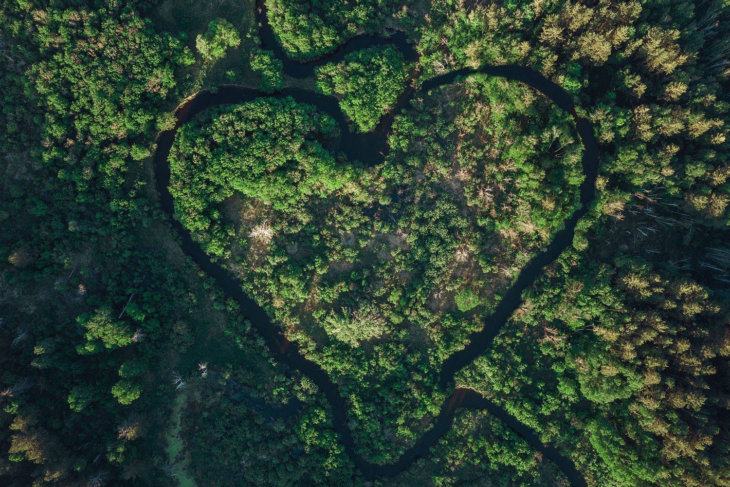 , Руслан Олинчук