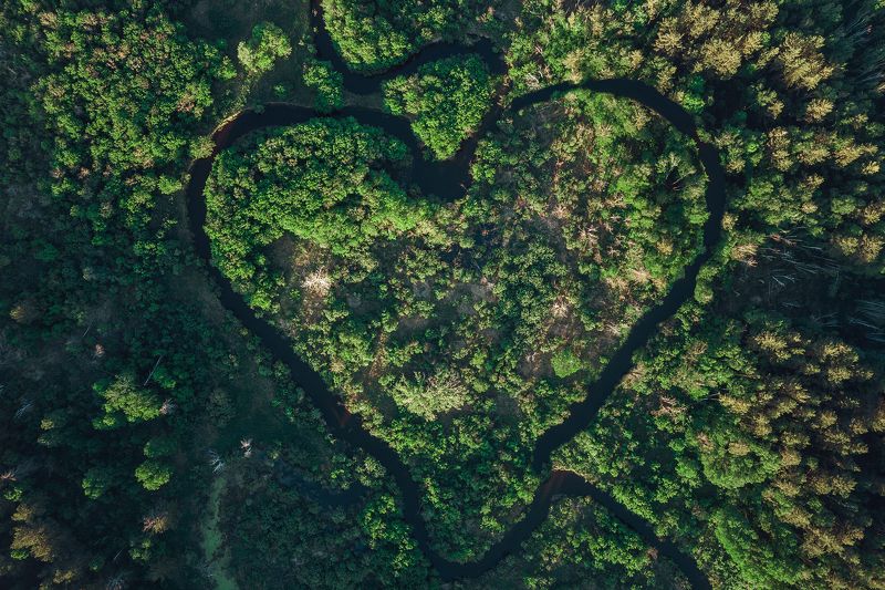 Summer фото превью