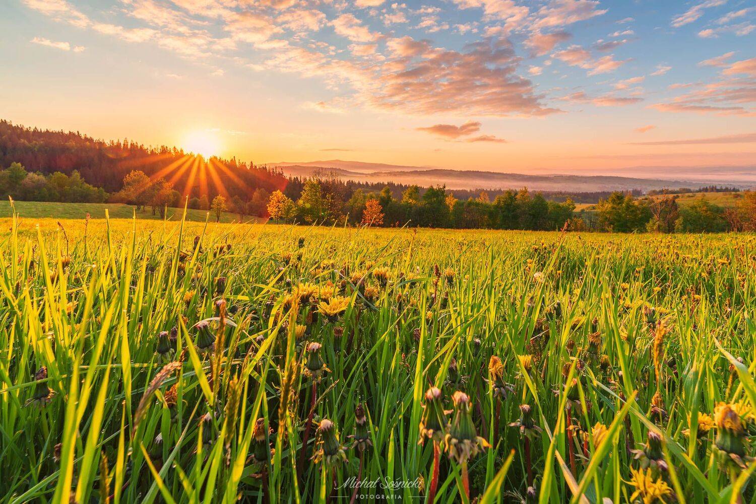 #poland #podhale #colours #clouds #sky #sunrise #tree #stairway #best #spring, Michał Sośnicki