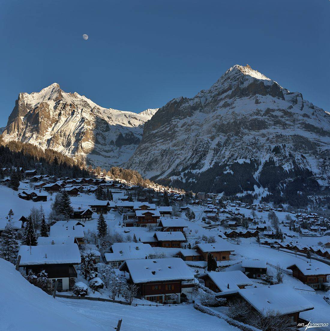 swiss, Матвеев Николай