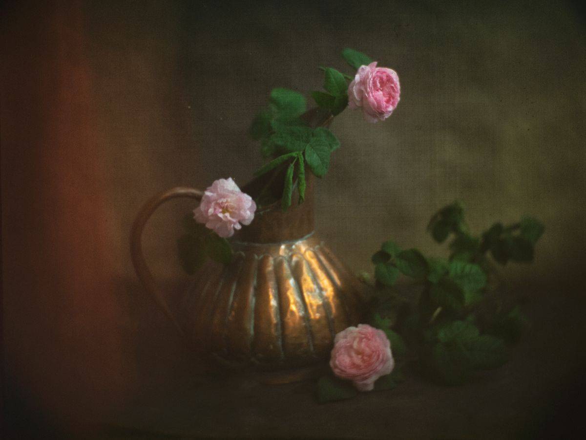 #haruhisa, Татьяна Аверина