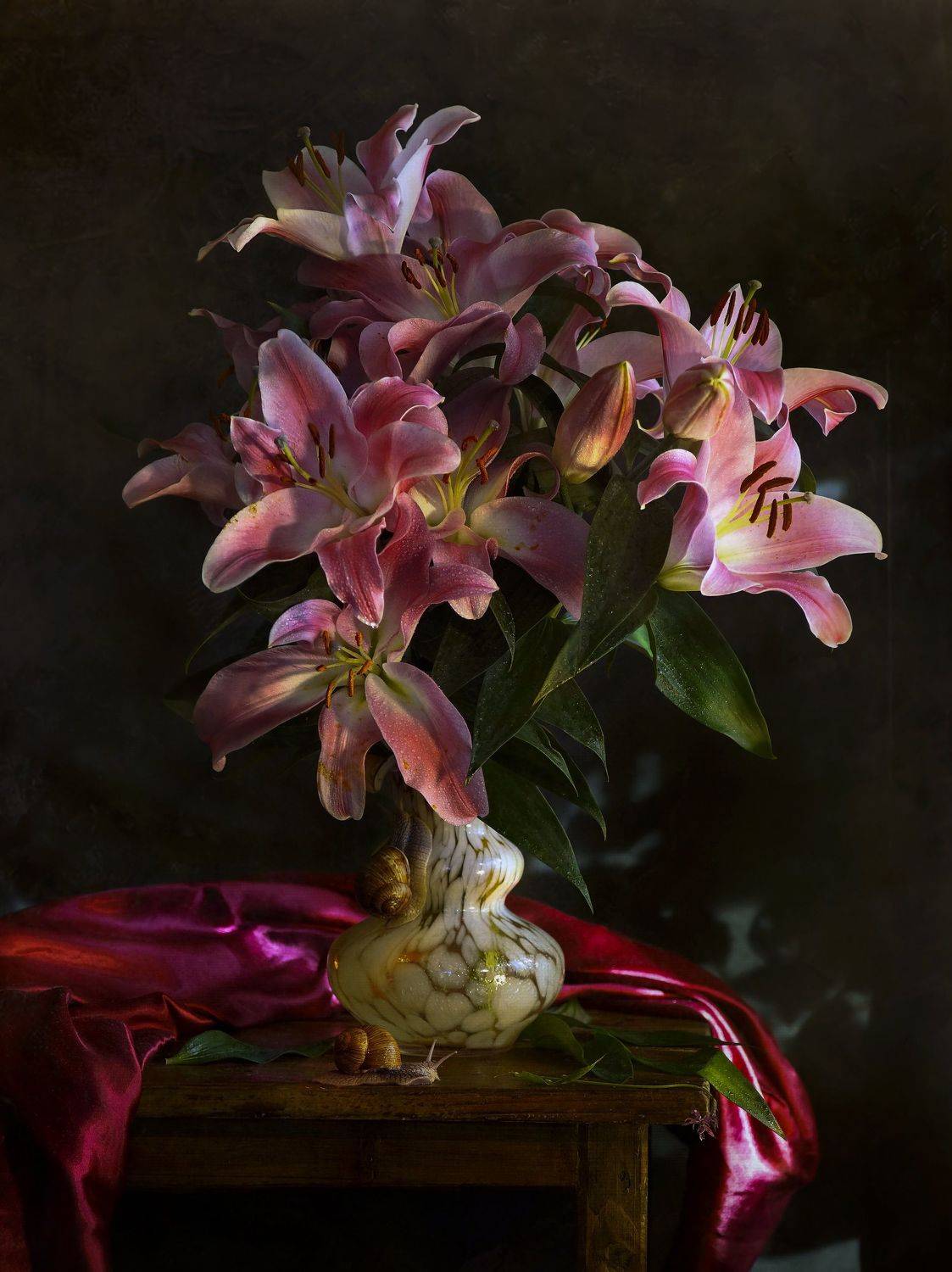 , Светлана Сушкевич