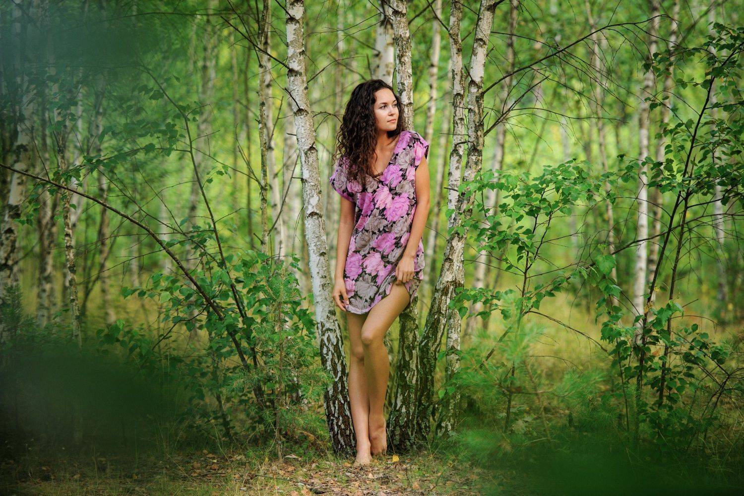 , Никитин Николай