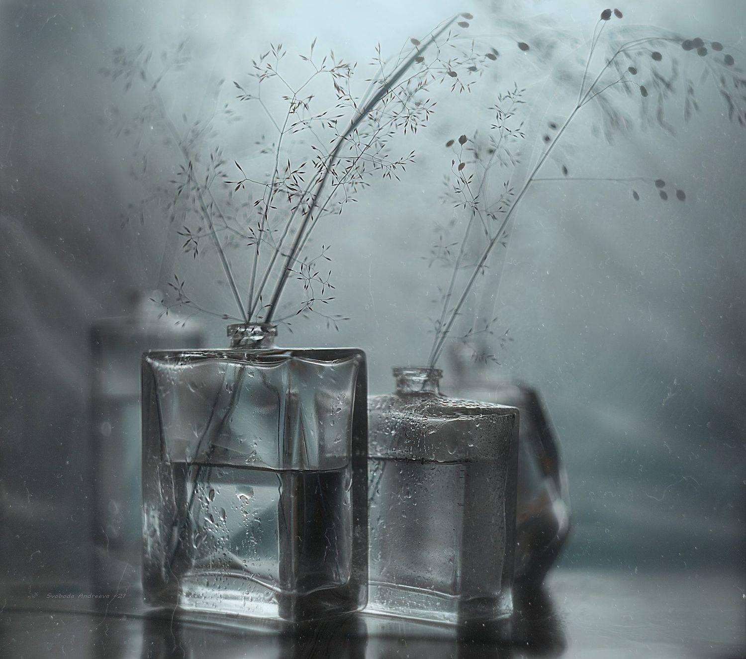 , Svoboda Andreeva