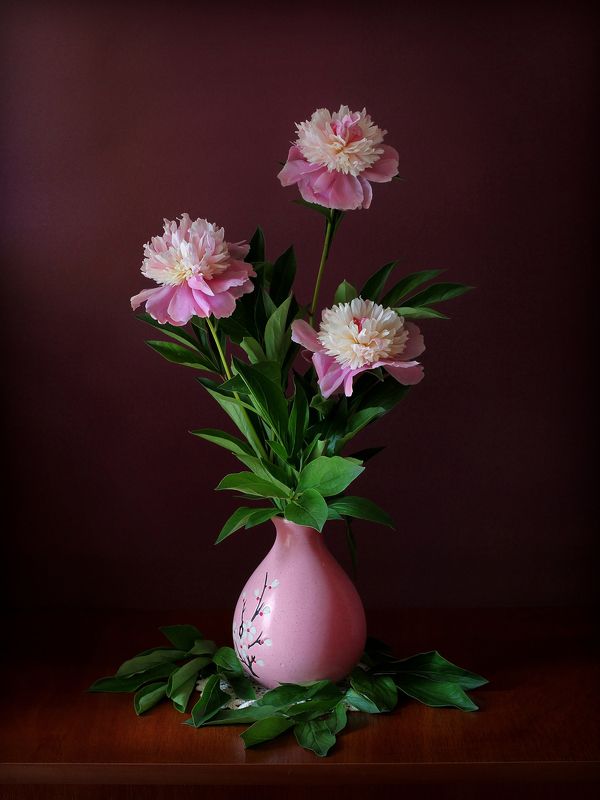 Этюд с пионами фото превью