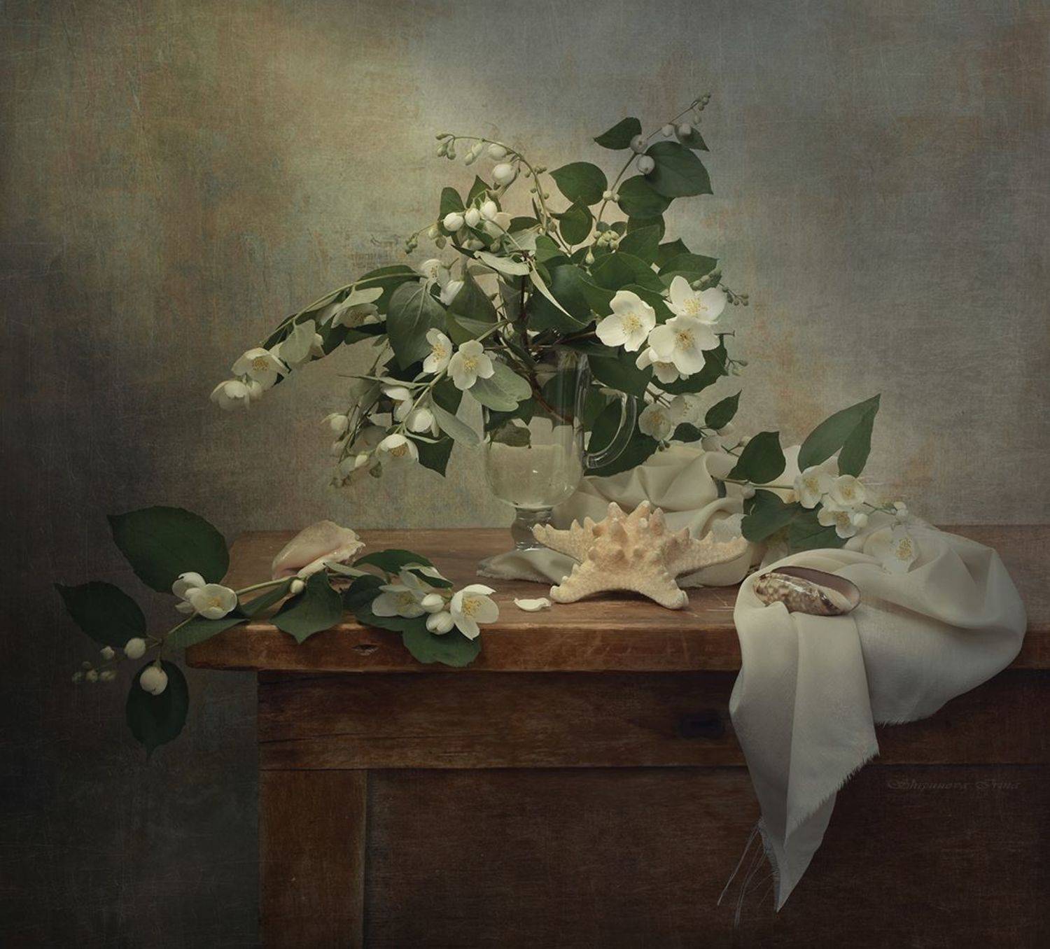 , Шипунова Ирина