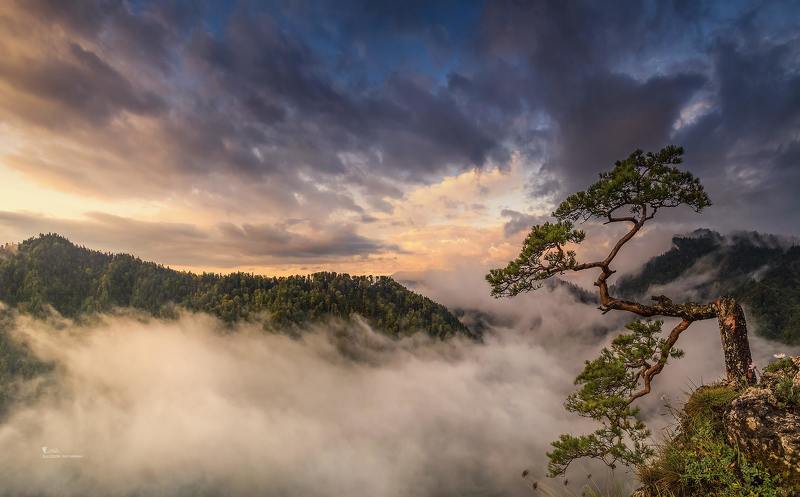Mountain Fogs фото превью