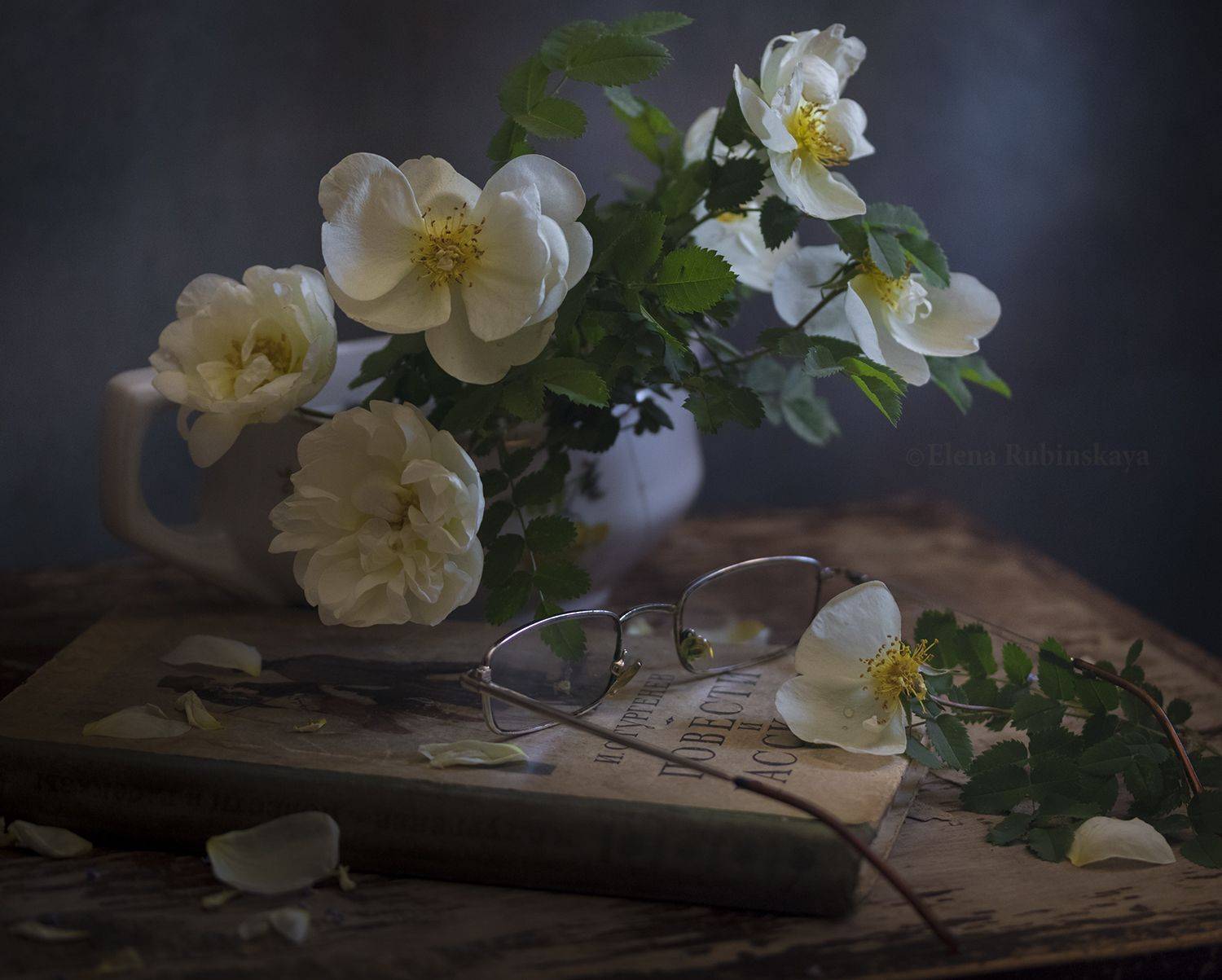 , Елена Рубинская