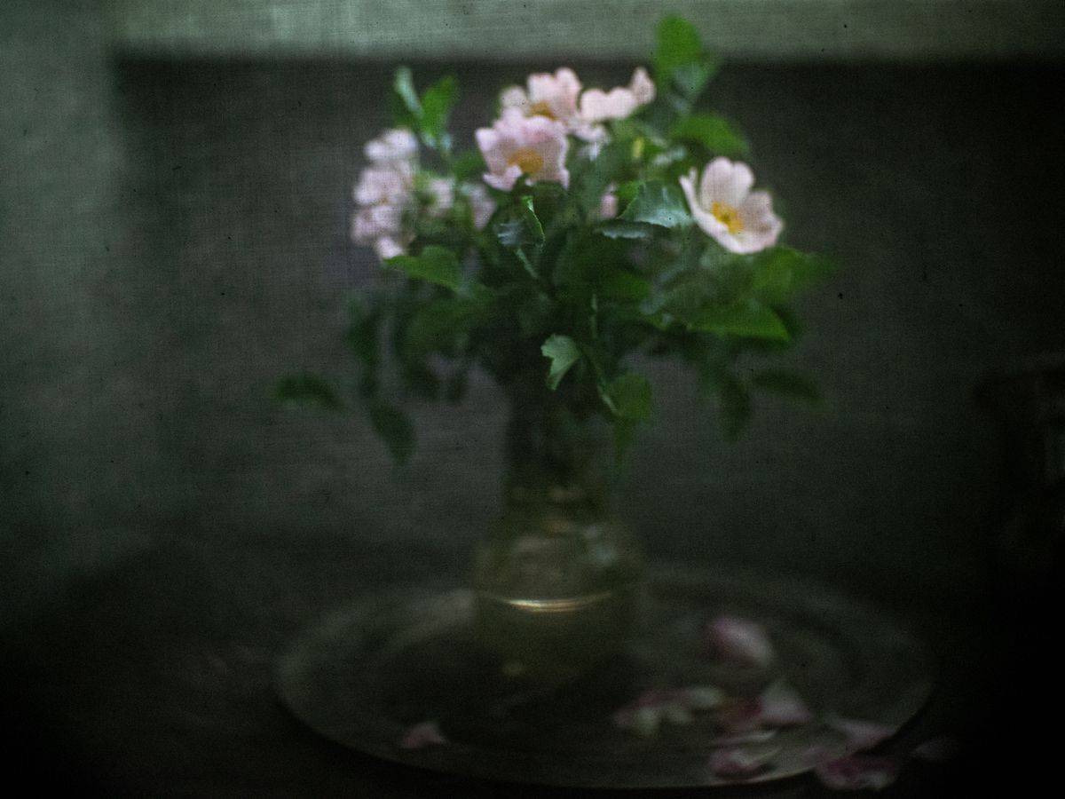 #haruhisa, Татьяна Аверина