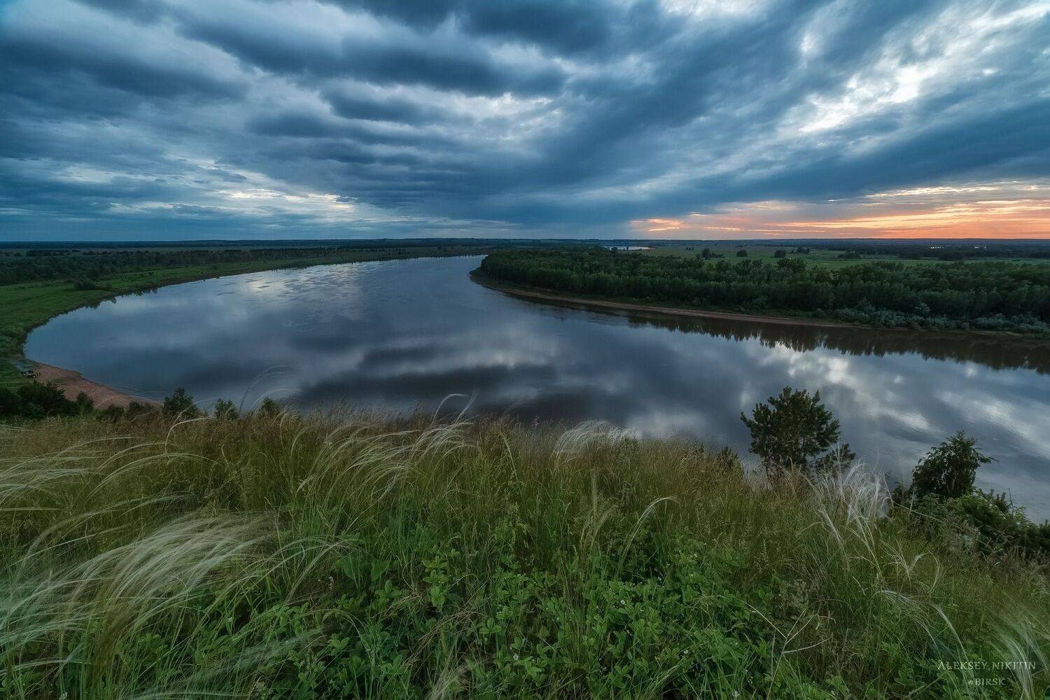 , Алексей Никитин