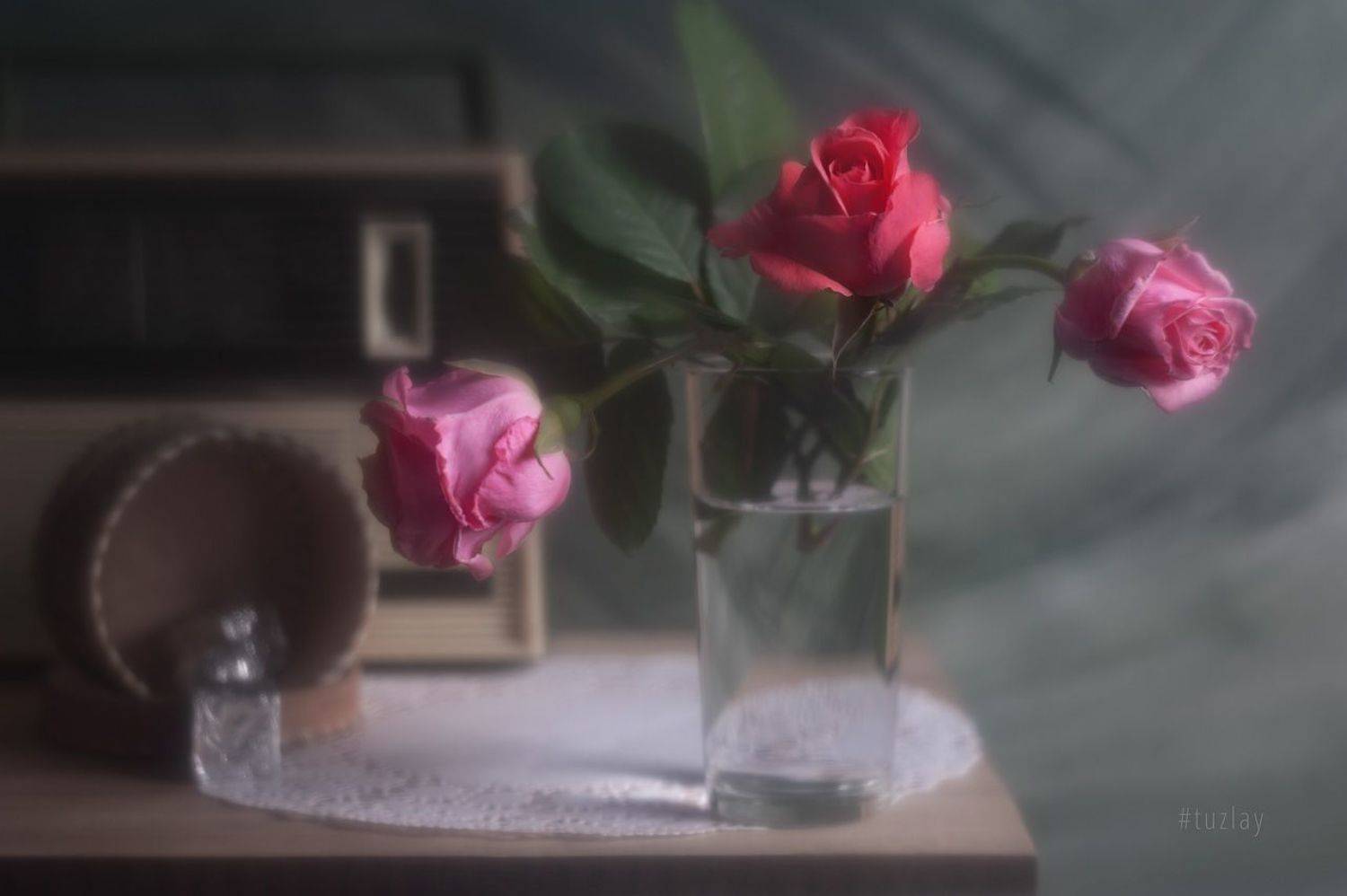 розы, спидола, Владимир Тузлай