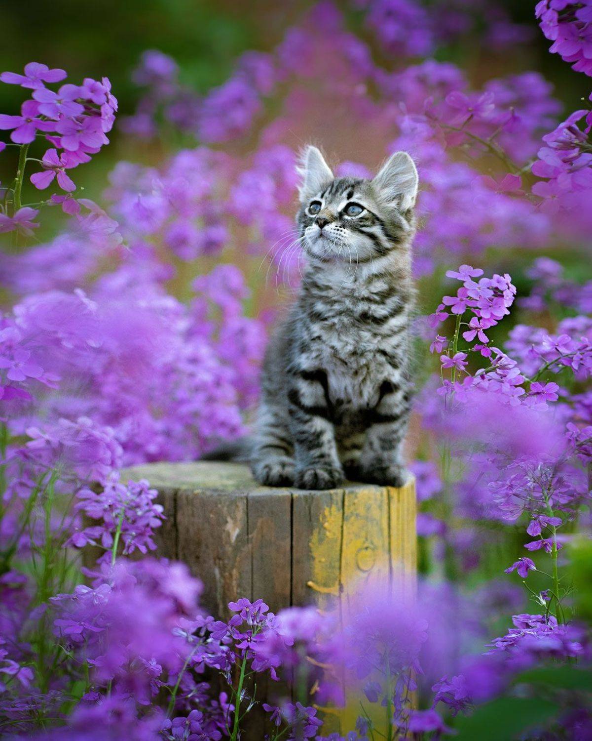 , Коротун Юрий