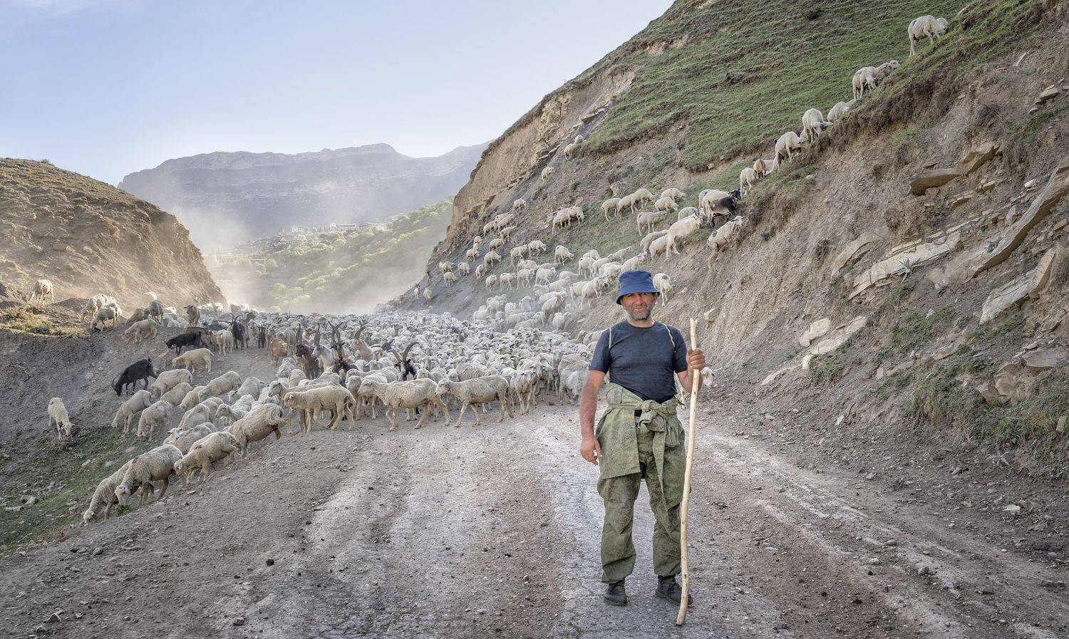 утро чабан отара горы, Андрей Колесов