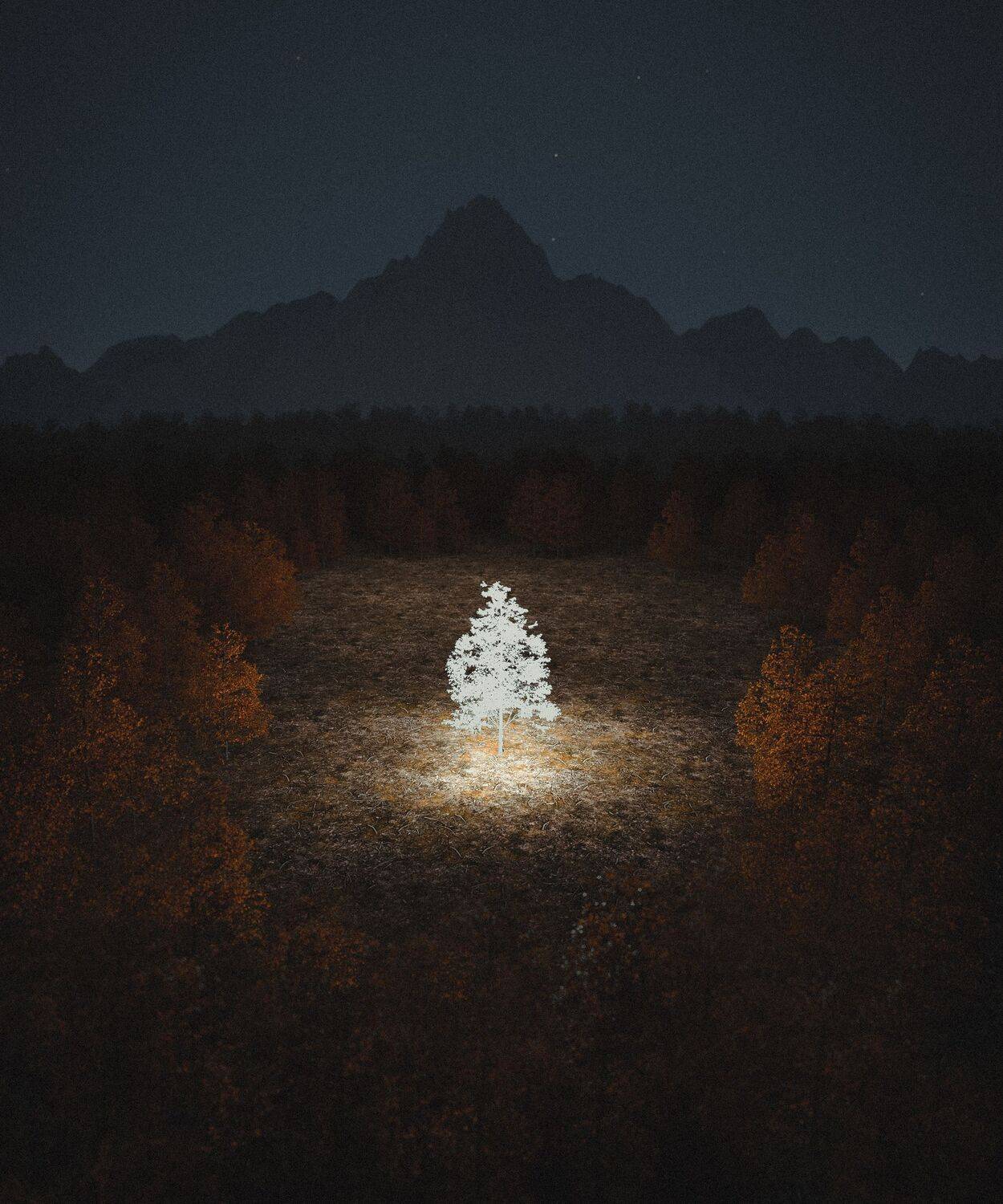 Light In The Dark. Автор: Hossein Zare , Hossein Zare