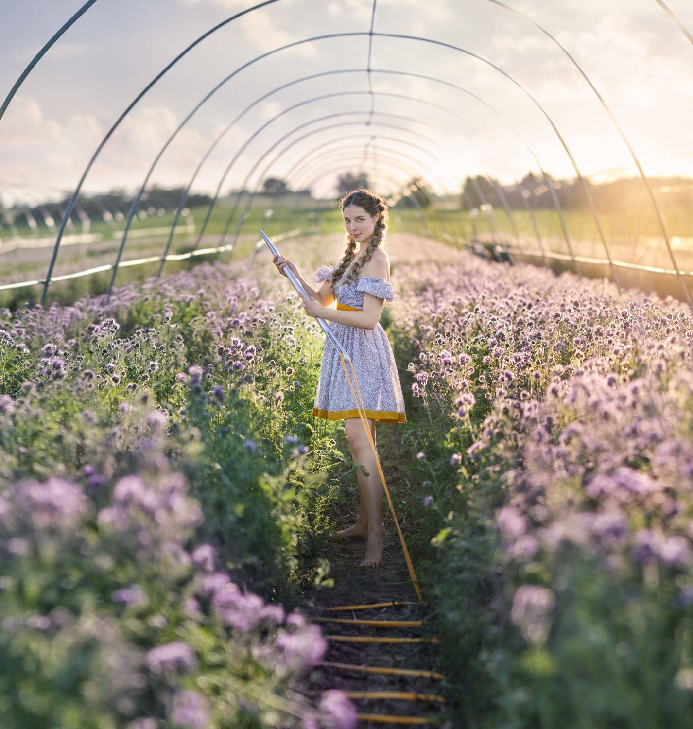 сюрреализм, Natalie Seitner