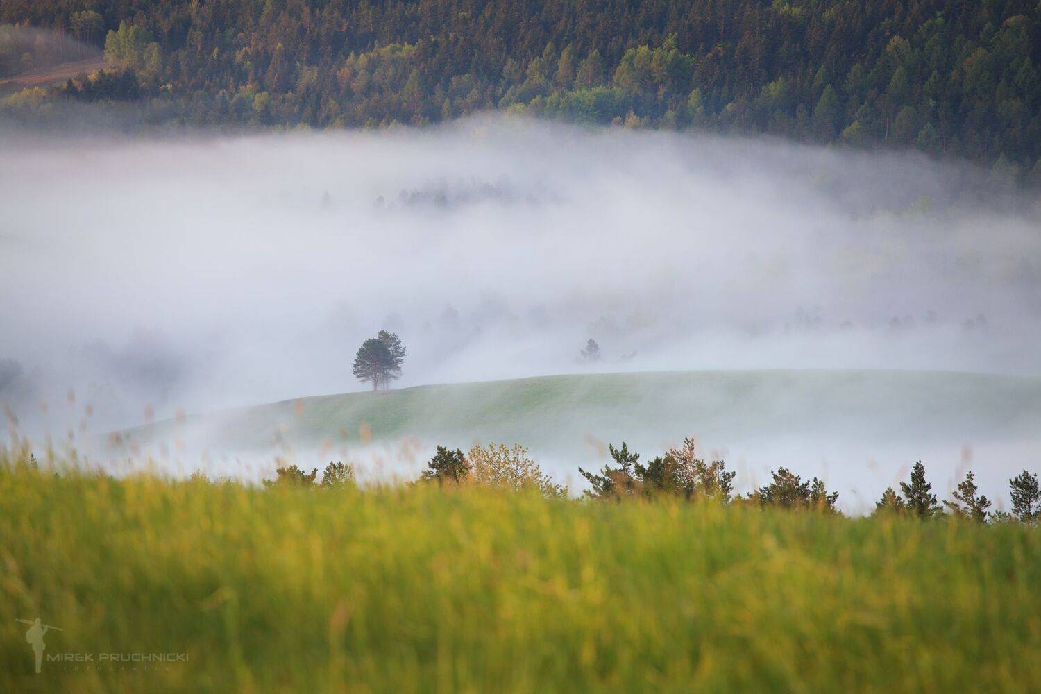 ,  Mirosław Pruchnicki