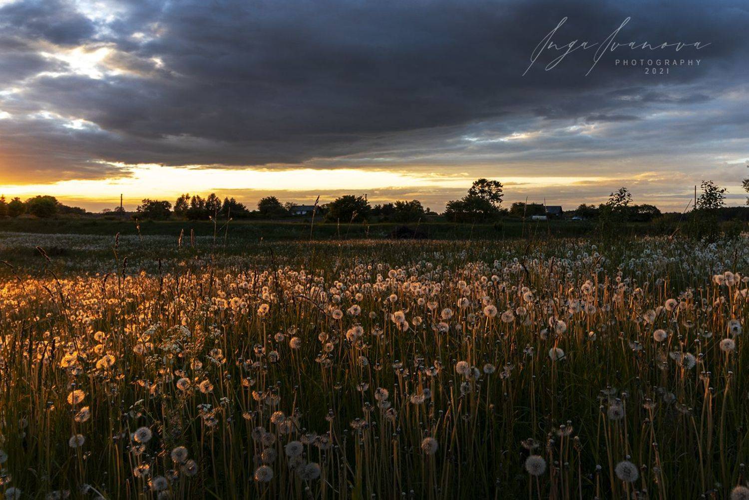 , Инга Иванова