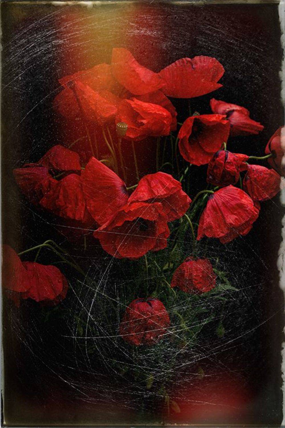 ,  Светослав Радков