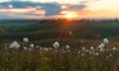 Ветреничный закат