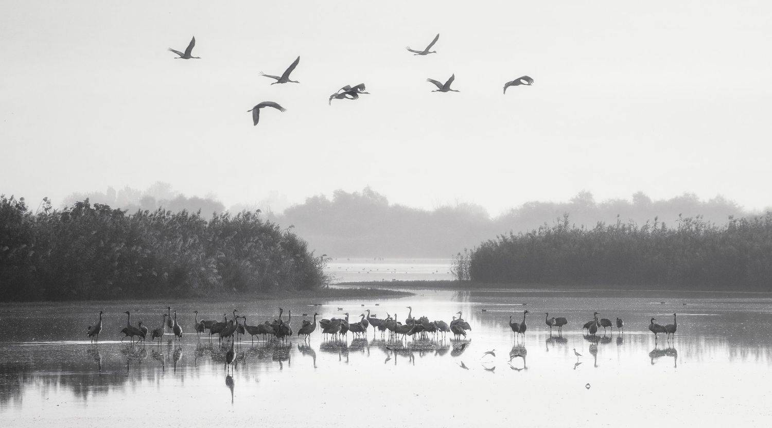 , Григорий Крамаренко