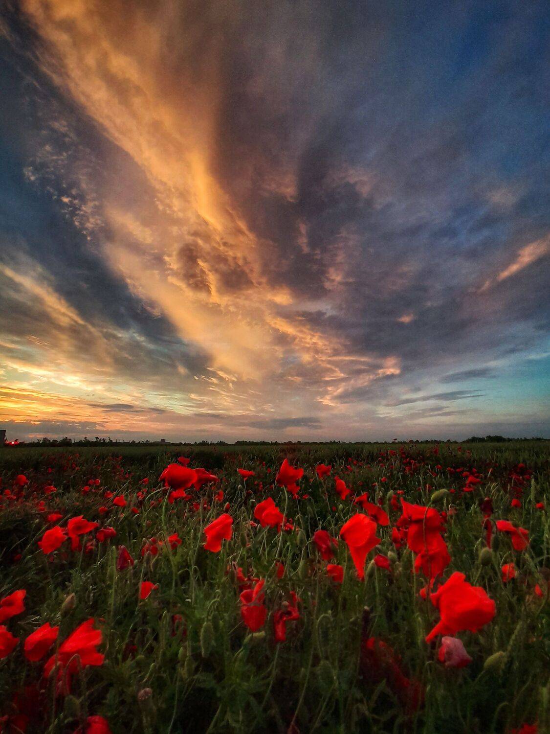 , Павел Сагайдак