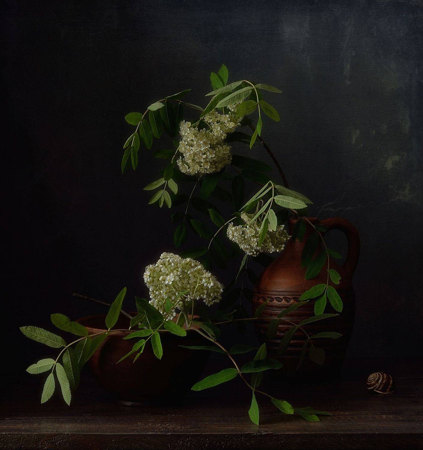 натюрморт,рябина,цветы,лето, Наталия К