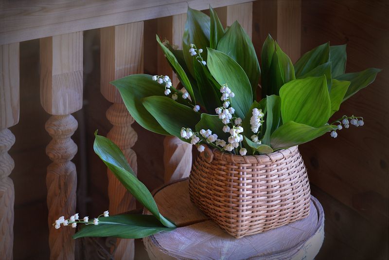 Ландыши, ландыши фото превью