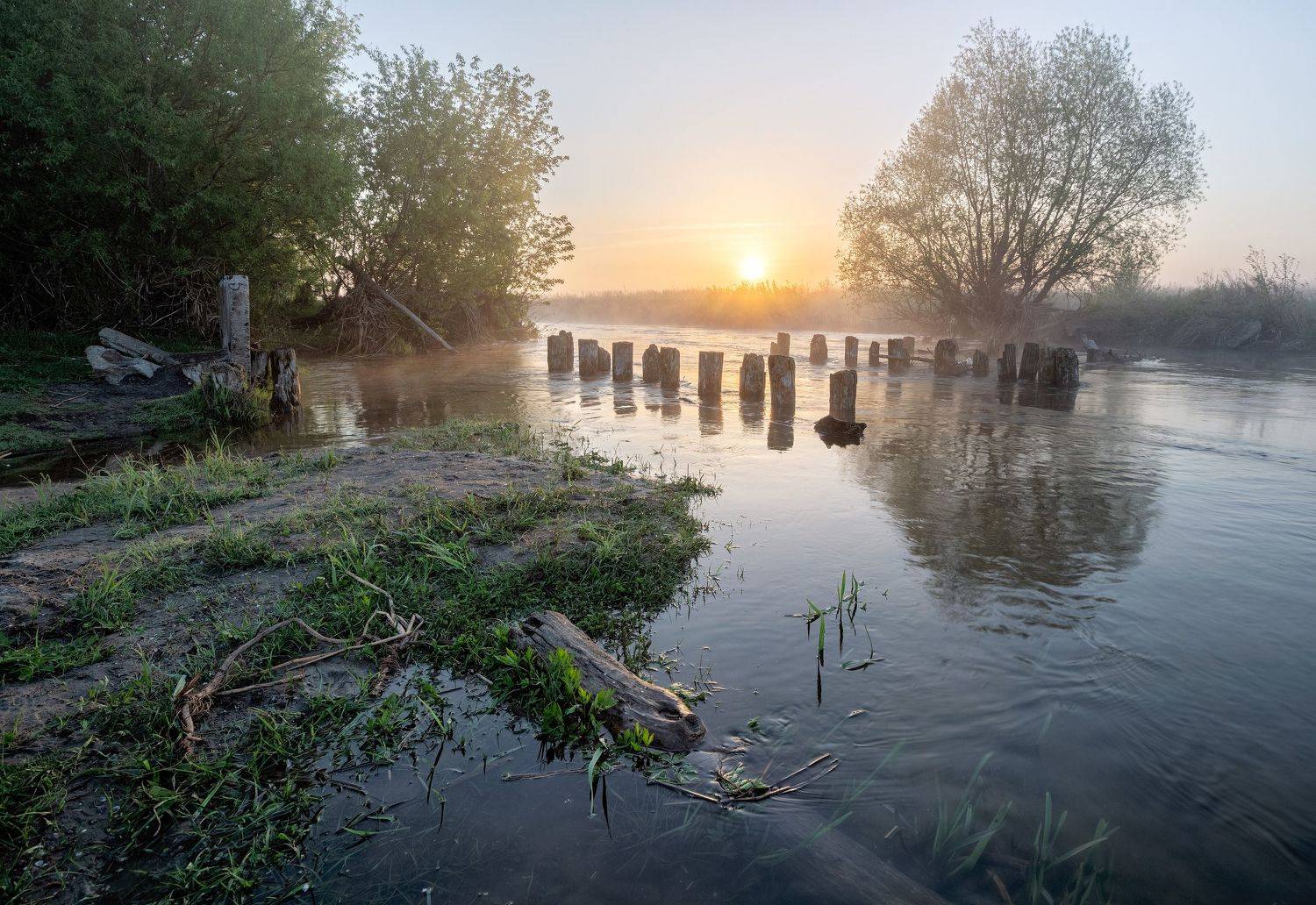 , Александр Бредихин