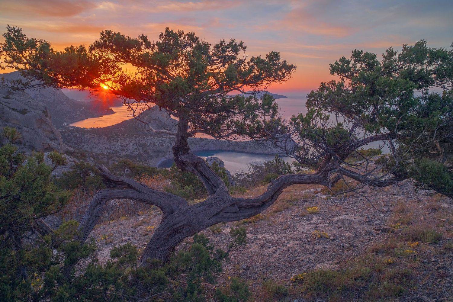 Фототуры с Владимиром Рябковым, Крым, маки, весна, #topnature #russpasibo #magic_shots #lovelyRussia #sunset_vision #exclusive_sky  #exclusive_shots #loves_russia2 #photoarena_nature #nature_sultans #nature_perfection #rsa_sky #rsa_sunset #photorussia #rs, Владимир Рябков