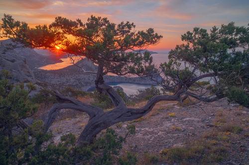 На мысе Караул Оба. Крым.