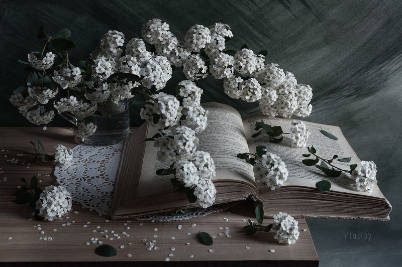 спирея, книги, открытая книга Еще про спирею и книгу фото превью