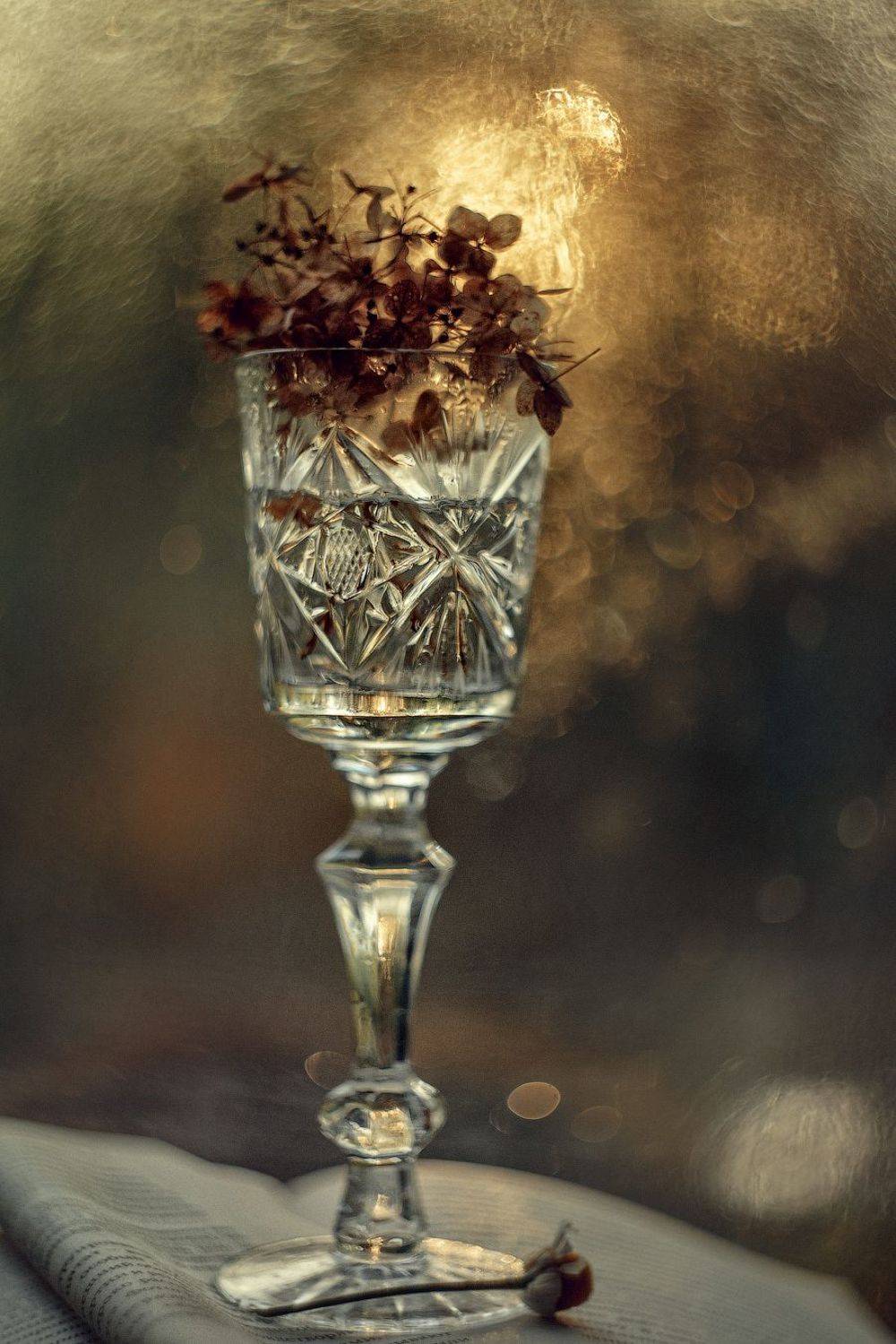 , Марина Бондарь