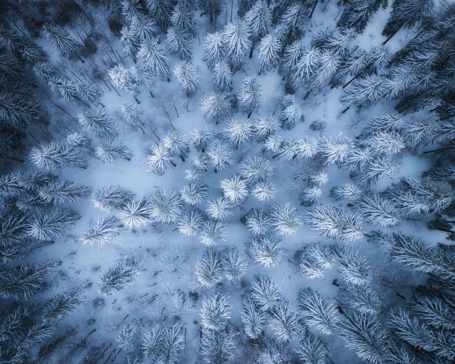 , Radoslav Sviretsov