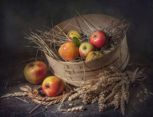 Молодильные яблочки