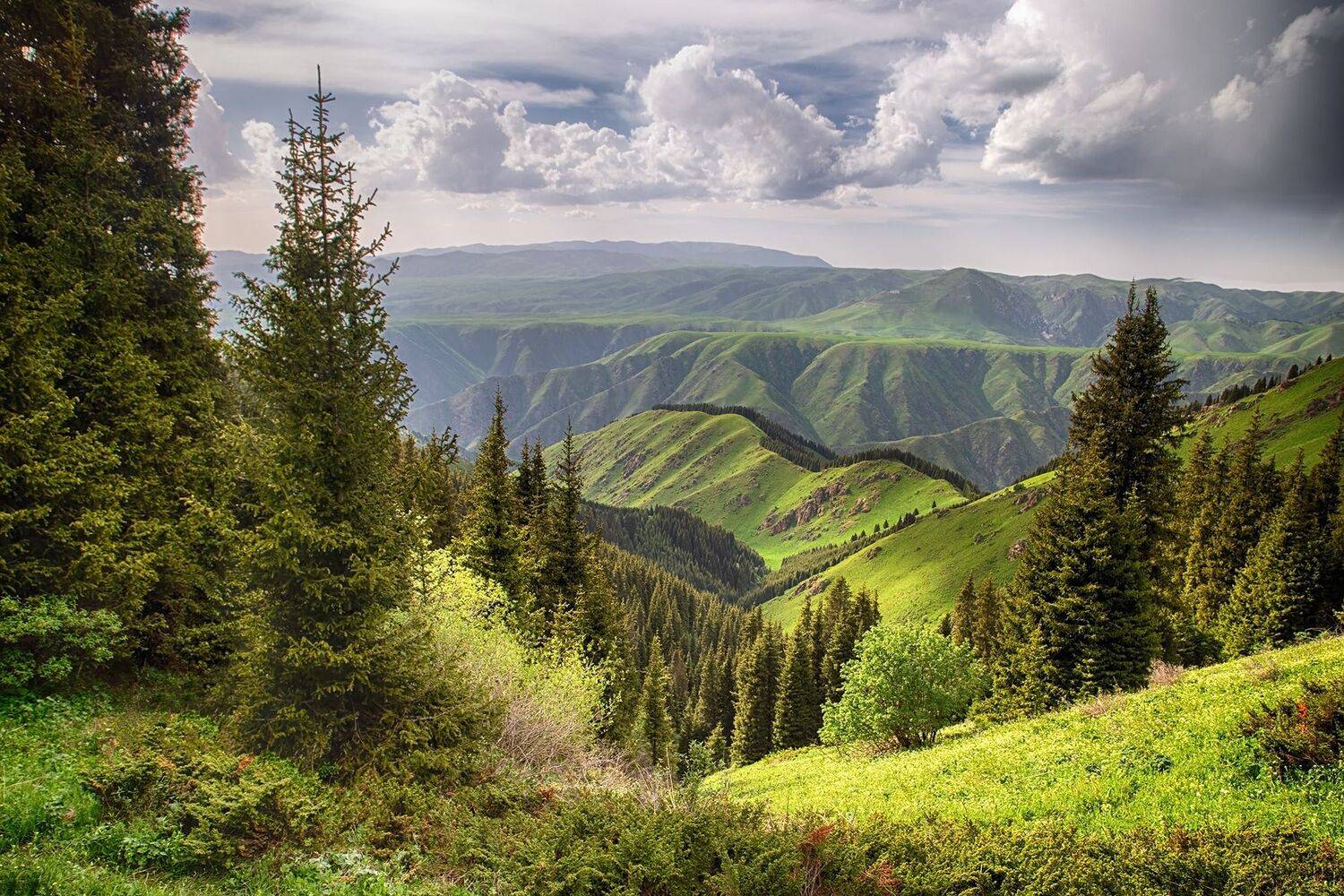 кыргызстан, горы, Элина Магалимова