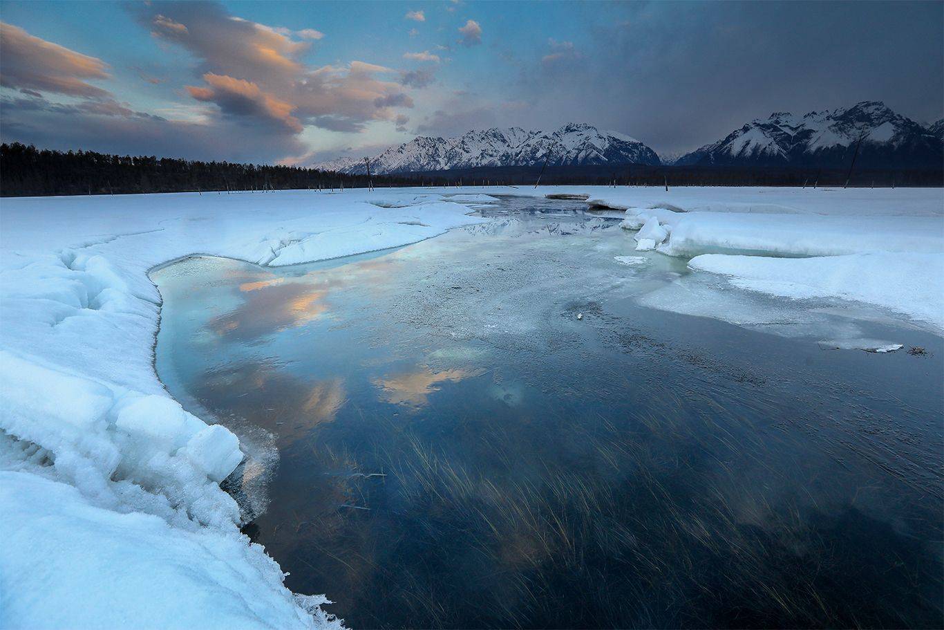 , Андрей Ершов