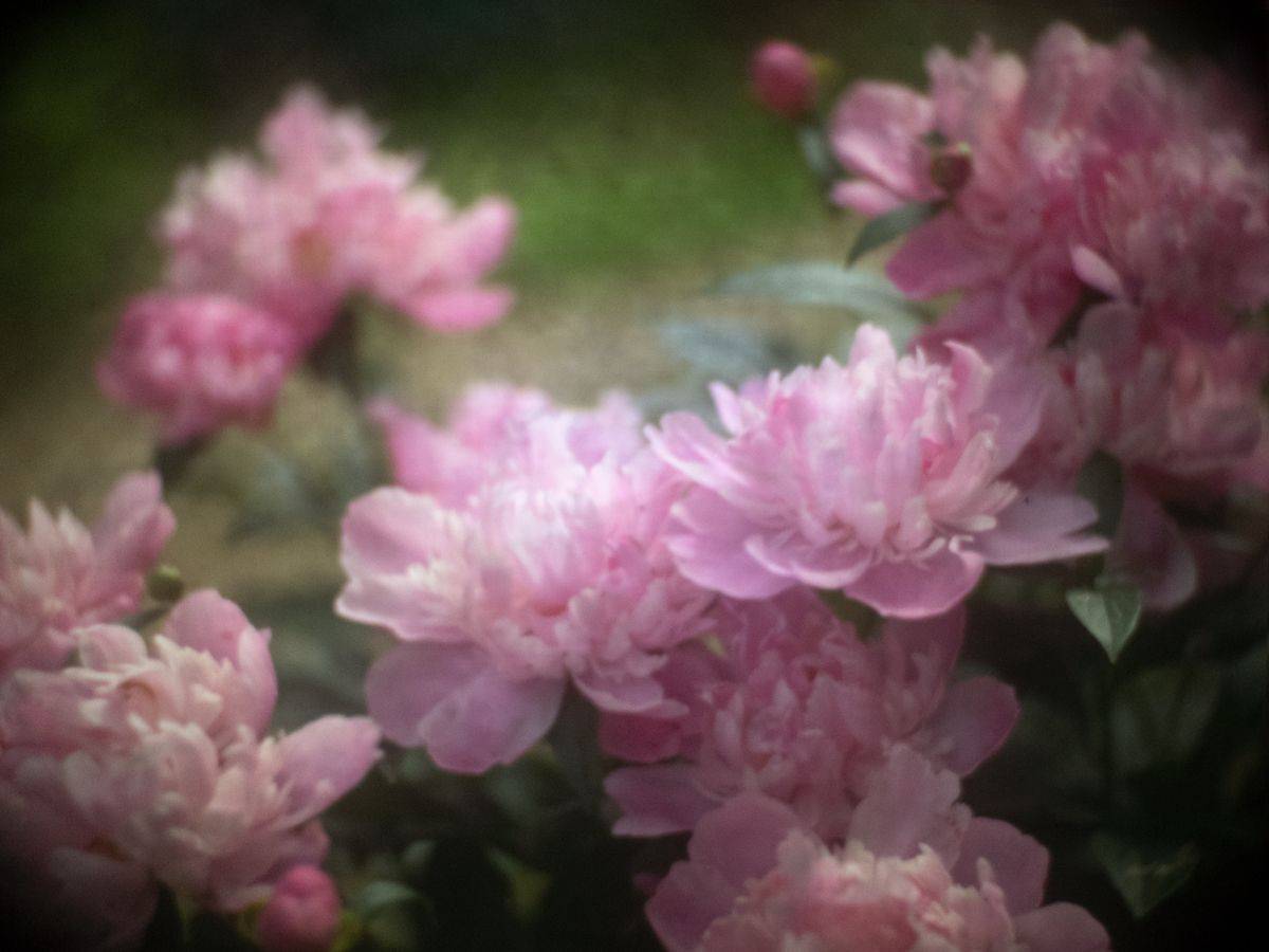 , Татьяна Аверина