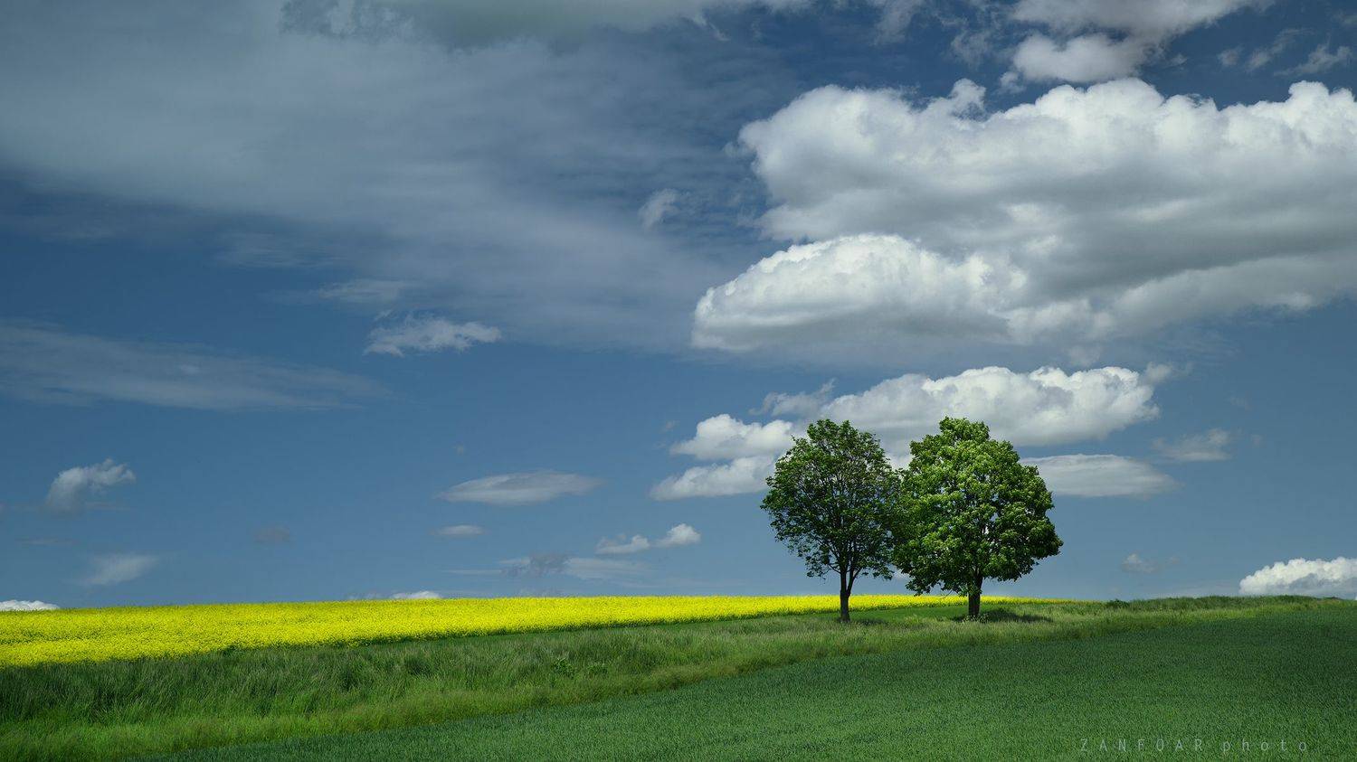 голубые, весенние, горизонты ,zanfoar,moravia,bohemia,nikon d750,czech republic, Zanfoar