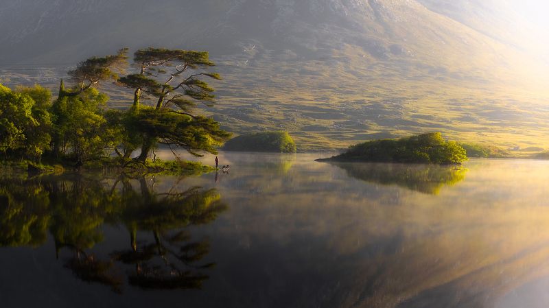 Serendipity фото превью