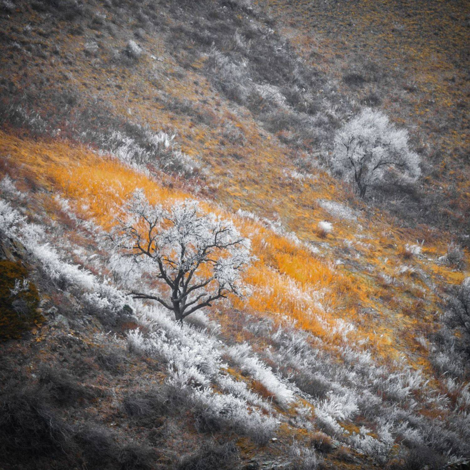 , Ислам Мирсаитов