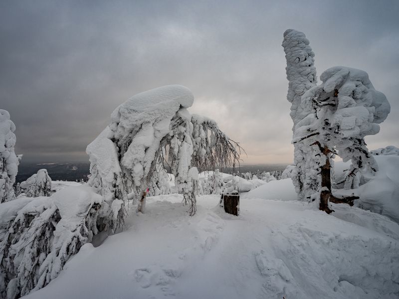 фото превью
