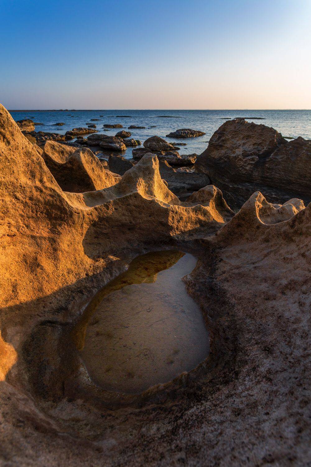 , Денис Свечников