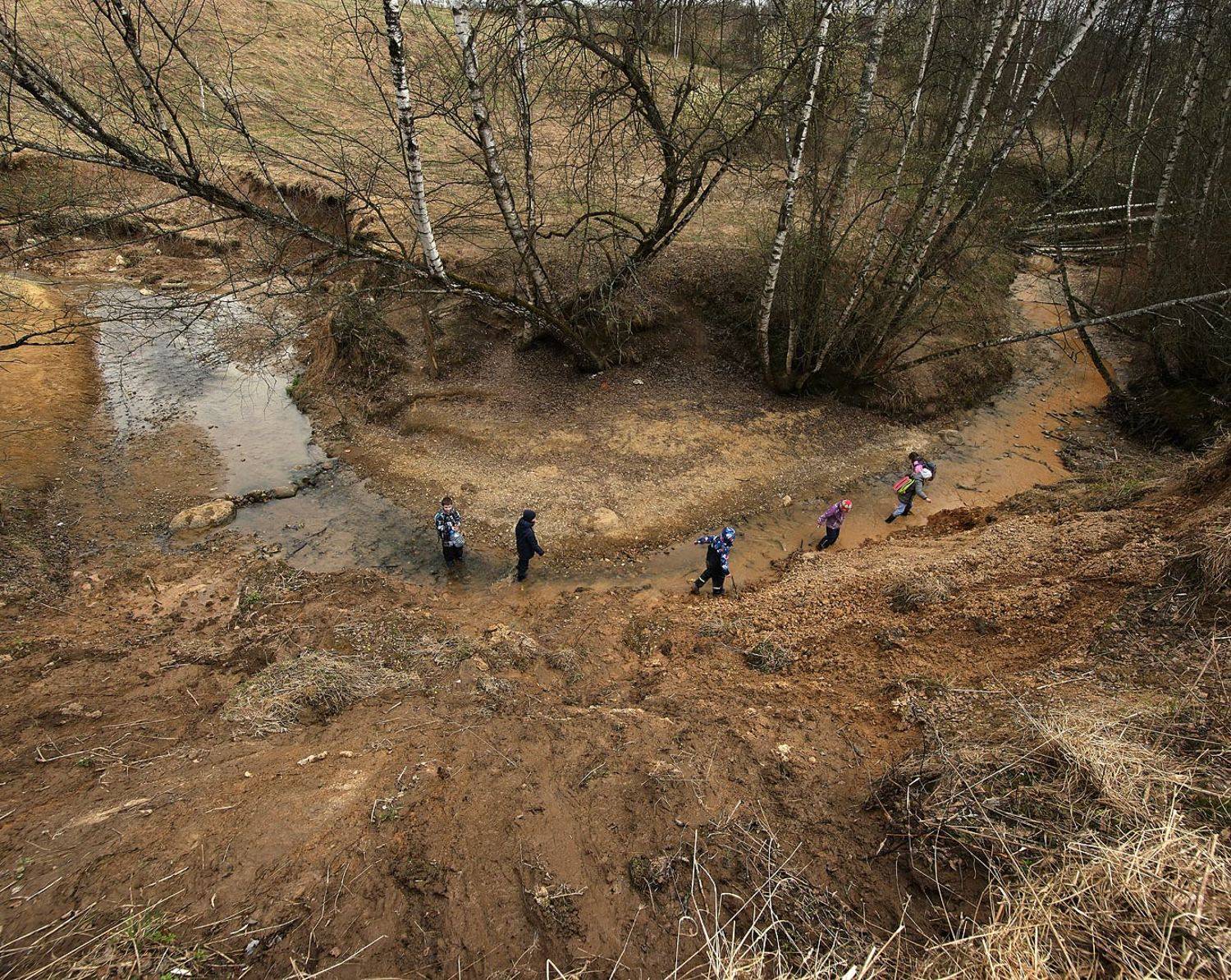 овраг, весна, ручей, подмытый берег, упавшие деревья, дети, экспедиция, геология, винни-пух, Дмитрий Ткаченко