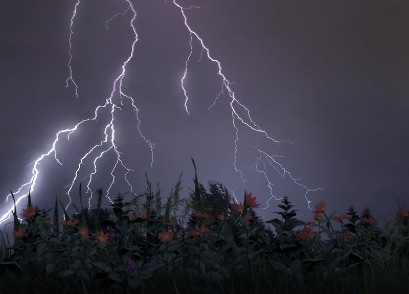 Роман Молния фото превью